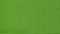 Fern Green